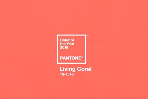 living coral color pantone 2019